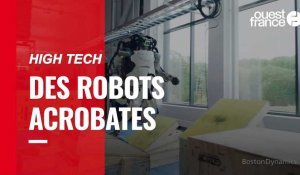 VIDÉO. Les robots de Boston Dynamics font désormais des saltos et du parkour