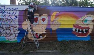 Roubaix : des habitants du Pile et des Streets artistes embellissent un bardage d'une friche