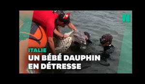 En Italie, des garde côtes sauvent un bébé dauphin pris au piège dans un filet