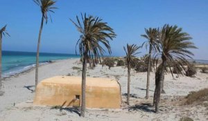 Pêche intensive et pollution: l'île libyenne de Farwa appelle à l'aide