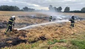 Steene : les pompiers tentent d'éteindre un feu de paille