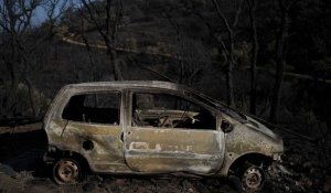 Var : les pompiers engagés dans une course contre la montre pour maîtriser l'incendie