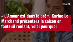 VIDÉO. « L’Amour est dans le pré » :  Karine Le Marchand présentera la saison en fauteuil