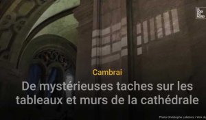 Cambrésis: De mystérieuses taches dans la cathédrale de Cambrai