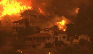 Grèce: l'île d'Eubée toujours en proie aux flammes