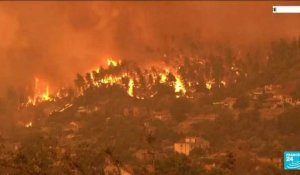 Incendies : un été marqué par une série de catastrophes climatiques