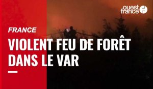VIDÉO. Var : plus de 5 000 hectares brûlés dans un violent feu 