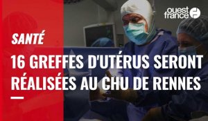 Santé. Le CHU de Rennes va réaliser 16 greffes d'utérus