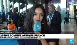 Sommet Afrique-France : "Redonner une place à la jeunesse africaine dans la politique publique"