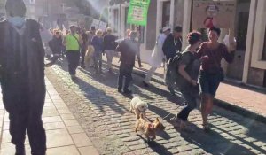 13e manifestation anti vaccins à Boulogne-sur-Mer