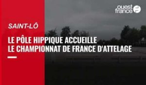 VIDÉO. Le championnat de France d’attelage est lancé à Saint-Lô