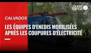 VIDÉO. Après la tempête Aurore, les équipes d'Enedis mobilisées dans le Calvados