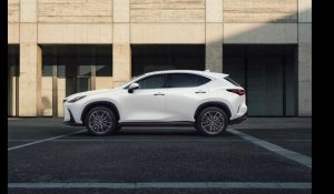 VIDEO : Lexus NX 450h+, un tapis volant hybride rechargeable 