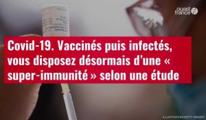VIDÉO. Covid-19: vaccinés puis infectés, vous disposez désormais d’une « super-immunité »