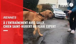 VIDÉO : À Rennes, un chien au flair expert en formation chez les gendarmes
