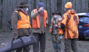 Dans une forêt communale de l'Yonne, les chasseurs doivent partager la forêt