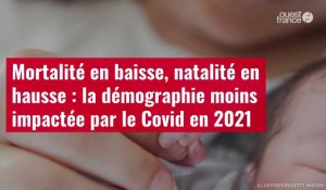VIDÉO. Mortalité en baisse, natalité en hausse : la démographie moins impactée par le Covid en 2021