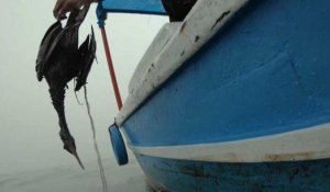Le Pérou victime d'une marée noire due à un enchaînement de catastrophes