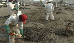 Marée noire au Pérou: début du nettoyage des plages polluées