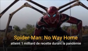 Spiderman No Way Home atteint 1 milliard de recette durant la pandémie