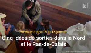 Cinq idées de sorties dans le Nord et le Pas-de-Calais les 15 et 16 janvier