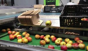 À Herlies, Fruits des Weppes apprend à se passer du plastique