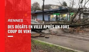 VIDÉO. À Rennes, des dégâts après un important coup de vent