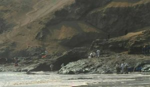 Marée noire au Pérou: 18km2 de côte souillés