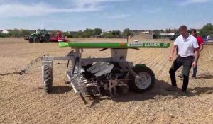 Le robot Farmdroid est la nouveauté agricole du moment