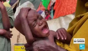 La Somalie au bord de la famine : l'ONU réclame de l'argent pour aider le pays