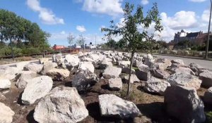 Calais : des rochers pour éviter les camps de migrants