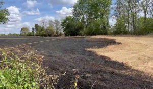 Liessies : un parc de loisirs évacué, 7 hectares de champs calcinés