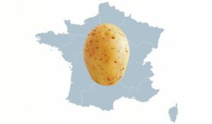 63% des patates françaises viennent des Hauts-de-France