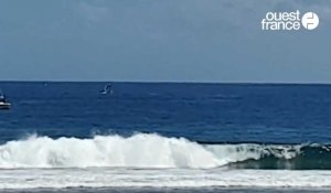 VIDÉO. Un cétacé sautant dans les vagues, aperçu au large de Tréguennec, dans le Finistère