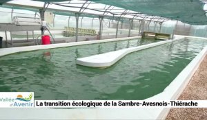 La transition écologique de la Sambre-Avesnois-Thiérache