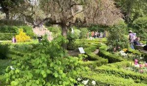 Fête des plantes ce 1er mai  à Amiens