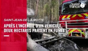 VIDÉO. En Sarthe, deux hectares de forêt partent en fumée à Saint-Jean-de-la-Motte