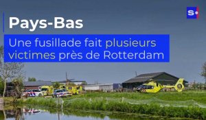 Pays-Bas : une fusillade fait plusieurs victimes près de Rotterdam