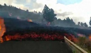 Volcan de La Palma : excursions sur les flancs du Cumbre Vieja