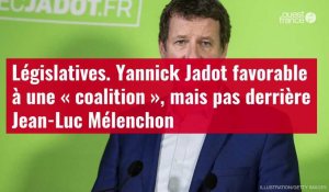 VIDÉO. Législatives : Yannick Jadot favorable à une « coalition », mais pas derrière Mélenchon