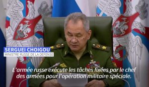 La Russie compte prendre l'Est de l'Ukraine (Sergueï Choïgou, le ministre de la Défense russe)
