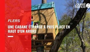 VIDÉO. Une cabane inversée construite dans le parc du château