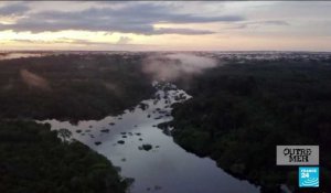 Guyane : l'Amazonie, un réservoir de biodiversité à préserver
