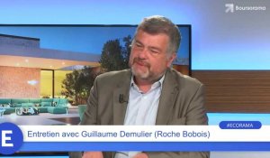 Guillaume Demulier (Roche Bobois) : "Il y a une bonne dynamique boursière sur notre titre !"