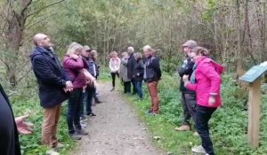 Beuvry : promenade dans les bois du bien-être