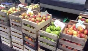 Au Havre, la Fête de la pomme et du terroir normand 2021