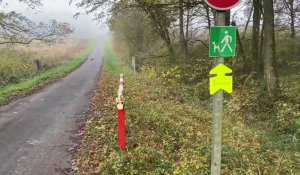 Un tournage en plein cœur de la forêt, au Bois L’Évêque à Ors