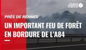 VIDÉO. Un feu de forêt en bordure d'autoroute, près de Rennes