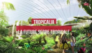 Tropicalia, la future serre du Pas-de-Calais