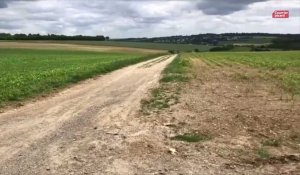 Un labyrinthe de maïs va être créé au milieu des champs à côté d’Amiens